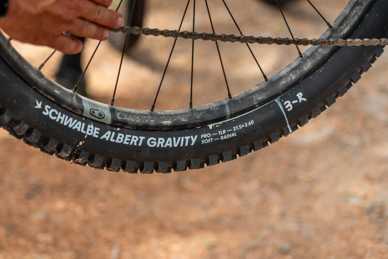 Schwalbe Reinvents the Mountain Bike Tire in Unique Radial Casing with Extra Grip for Albert