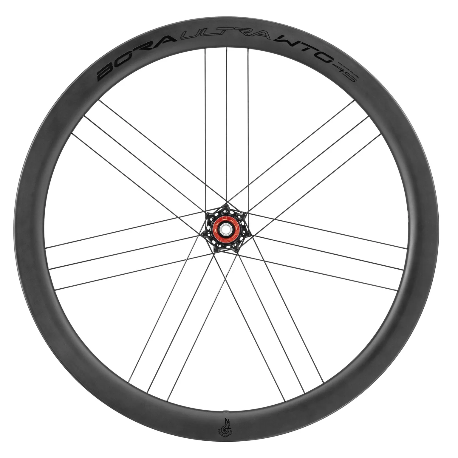 Campagnolo Bora Ultra WTO 45 Matte Edition wheels to match Campy Super Record S