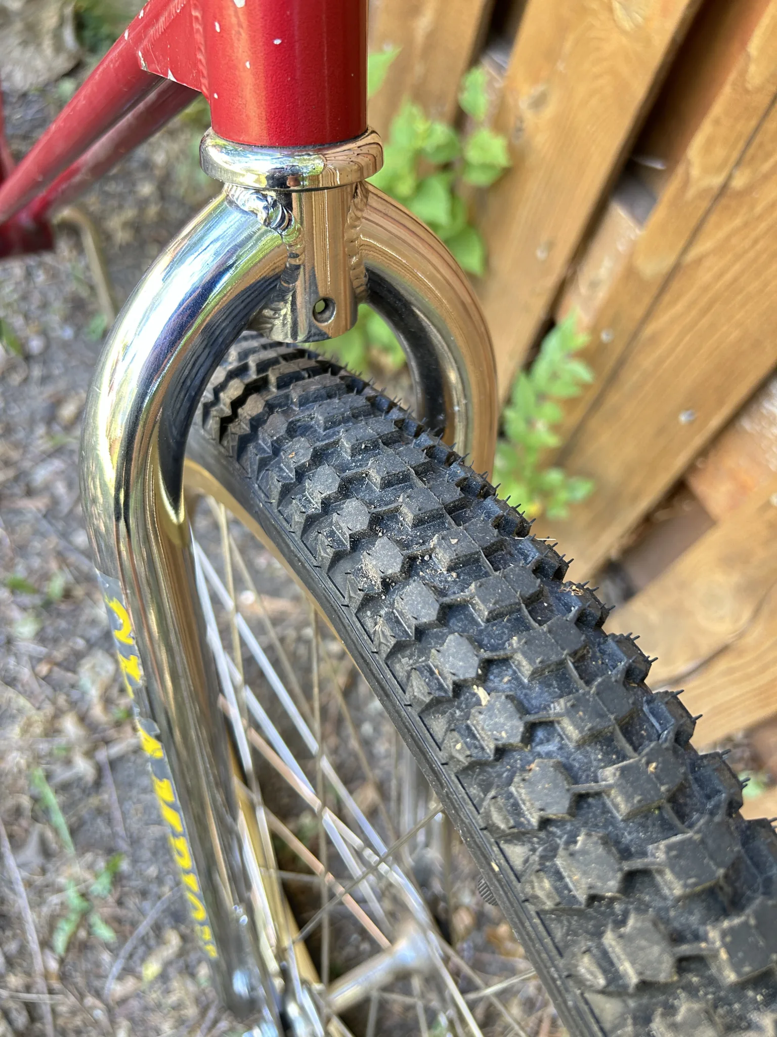 House of Looptail Snake Belly Panaracer vintage MTB tire2