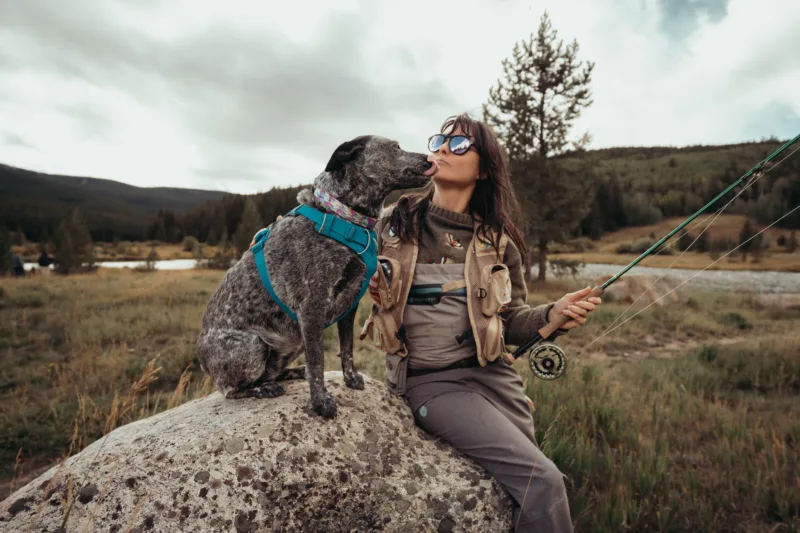 Meet Two Perfect Paw-tners: Kayla and Juniper